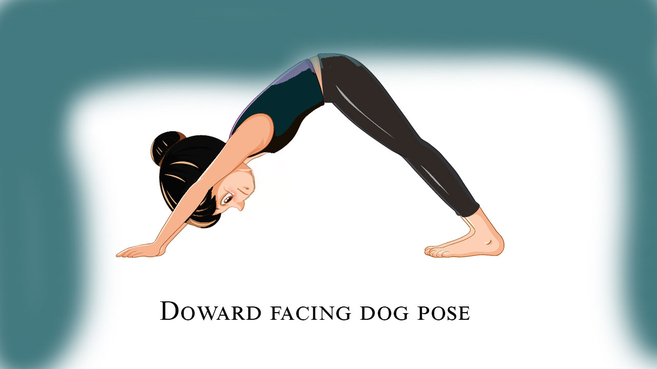 downward-facing-dog-pose